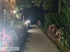 Cazare la Casute in Zona VIP